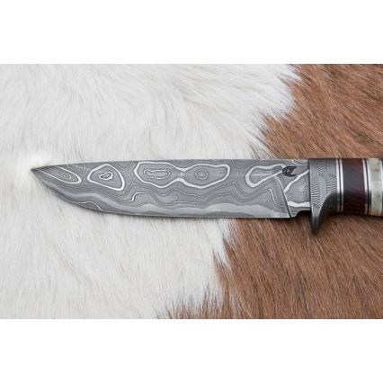 Jagtkniv Damaskus 13,8 cm ironwood/bøffelknogle