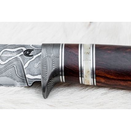 Jagtkniv Damaskus 13,8 cm ironwood/bøffelknogle