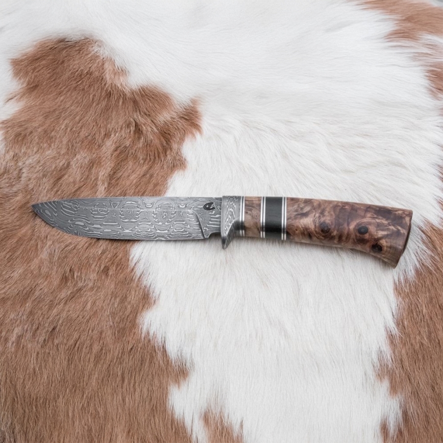 Jagtkniv Damaskus 13 cm poppel/ibenholt