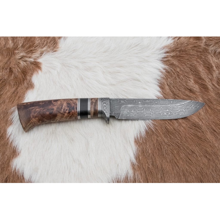 Jagtkniv Damaskus 13 cm poppel/ibenholt