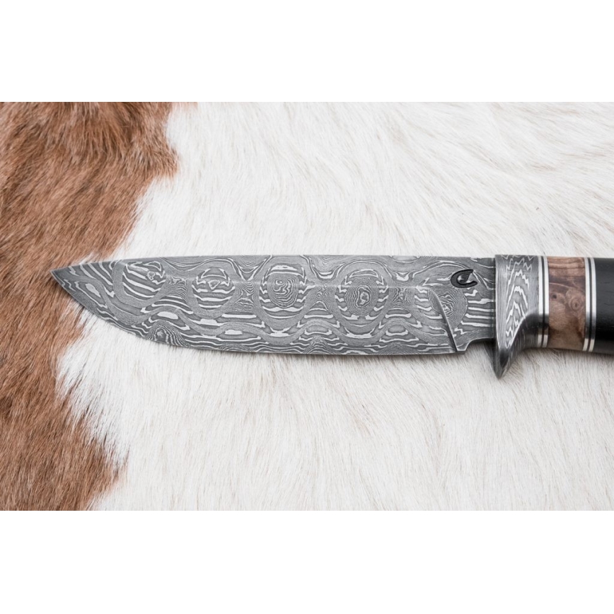 Jagtkniv Damaskus 13 cm poppel/ibenholt