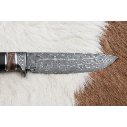 Jagtkniv Damaskus 13 cm poppel/ibenholt