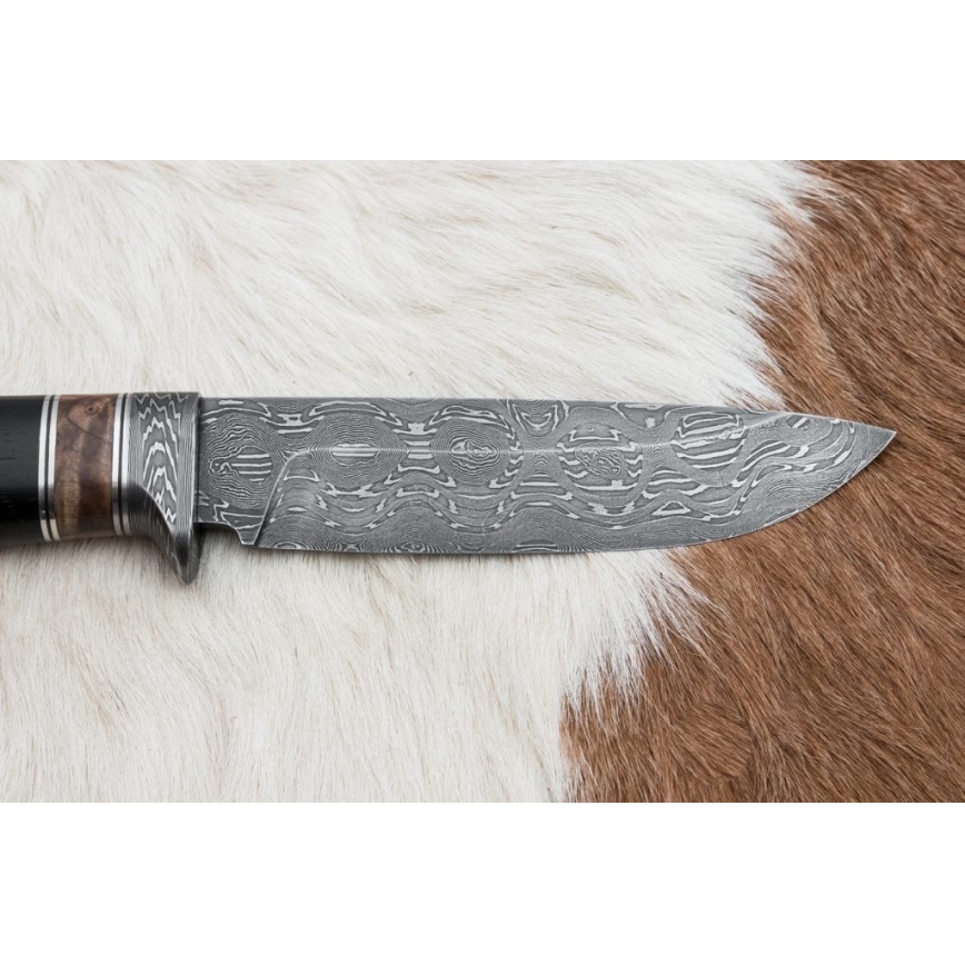 Jagtkniv Damaskus 13 cm poppel/ibenholt