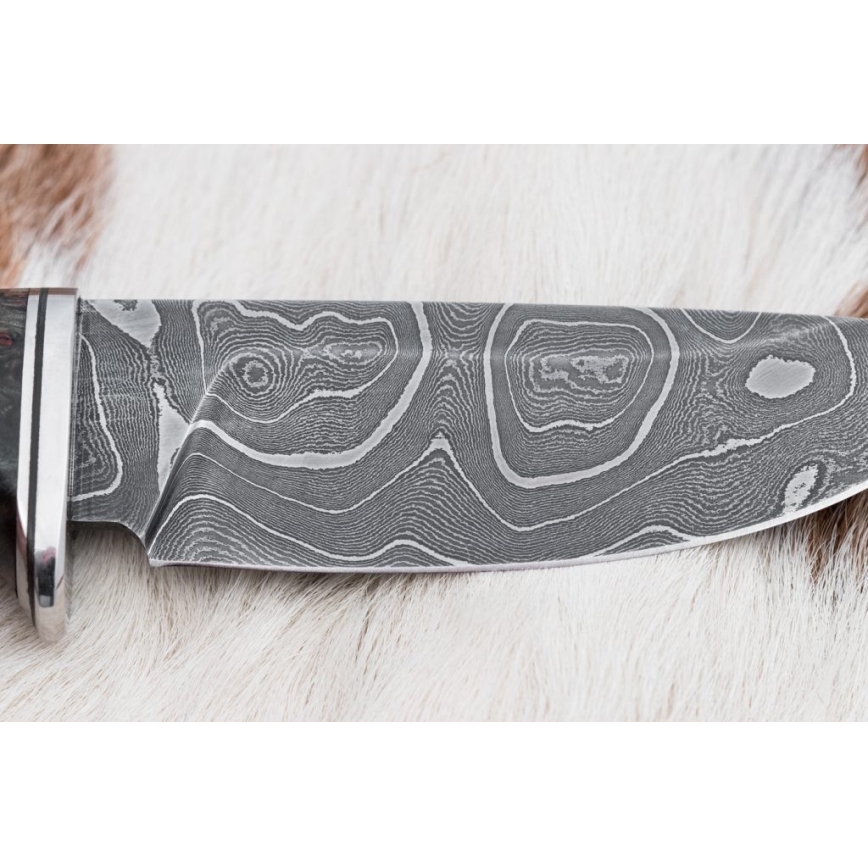 Jagtkniv Damaskus 9,7 cm valnød/ahorn