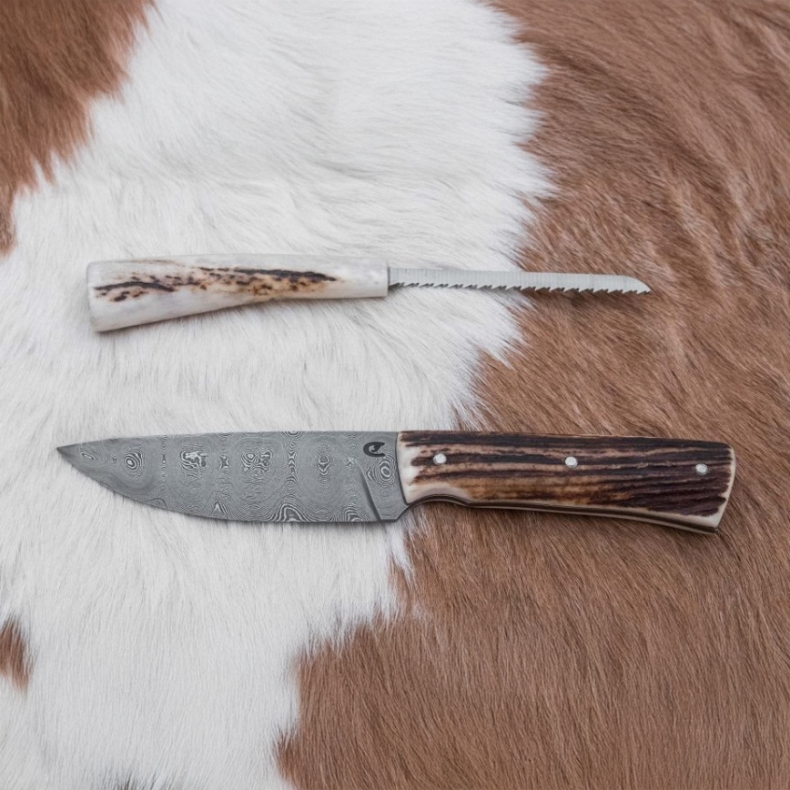 Jagtkniv med minisav Damaskus 11 cm hjortegevir