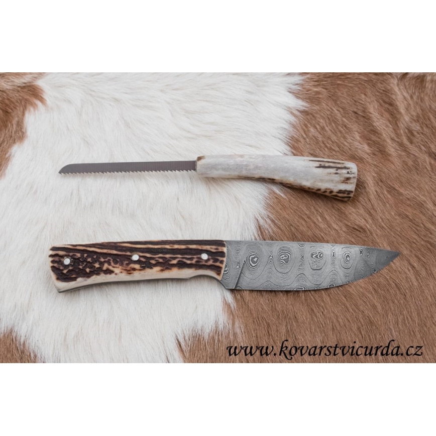 Jagtkniv med minisav Damaskus 11 cm hjortegevir