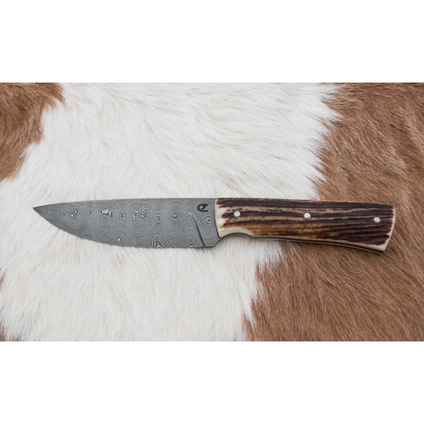 Jagtkniv med minisav Damaskus 11 cm hjortegevir