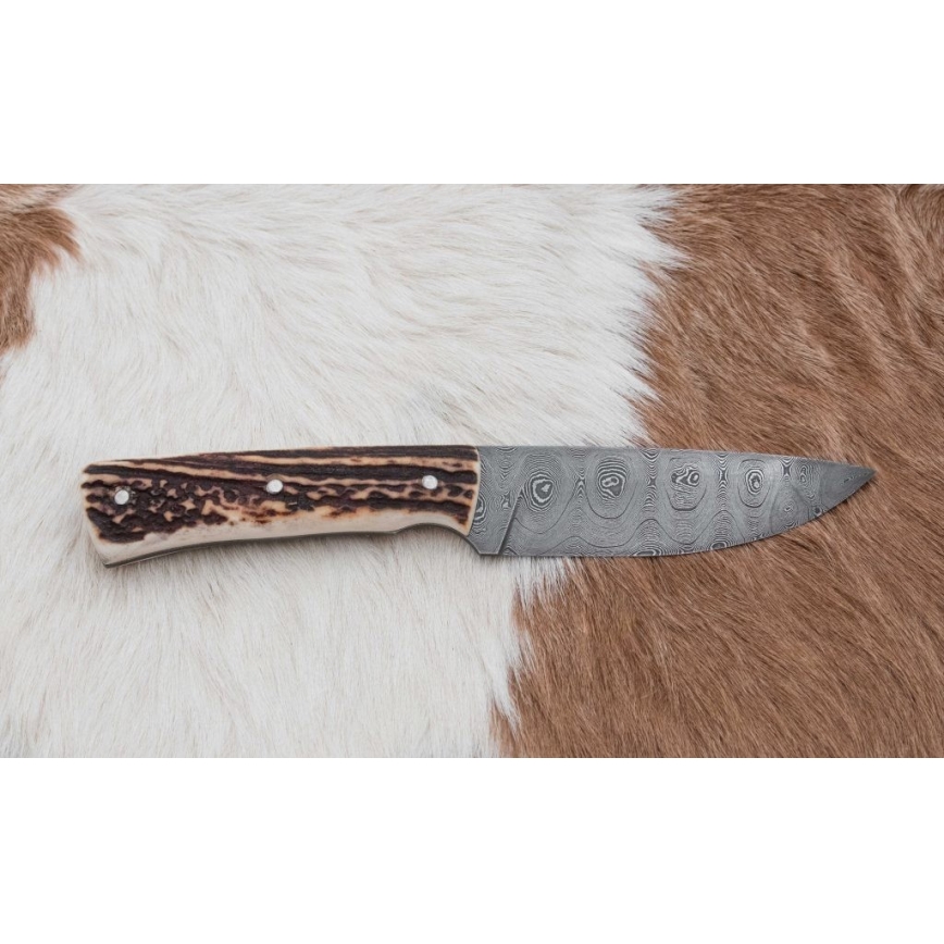 Jagtkniv med minisav Damaskus 11 cm hjortegevir