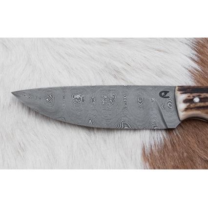 Jagtkniv med minisav Damaskus 11 cm hjortegevir