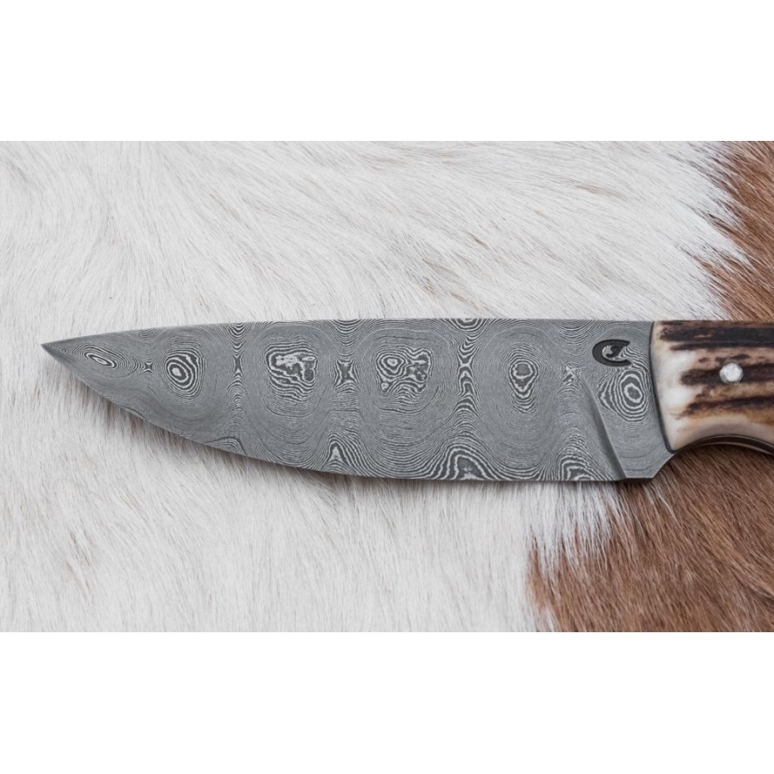 Jagtkniv med minisav Damaskus 11 cm hjortegevir