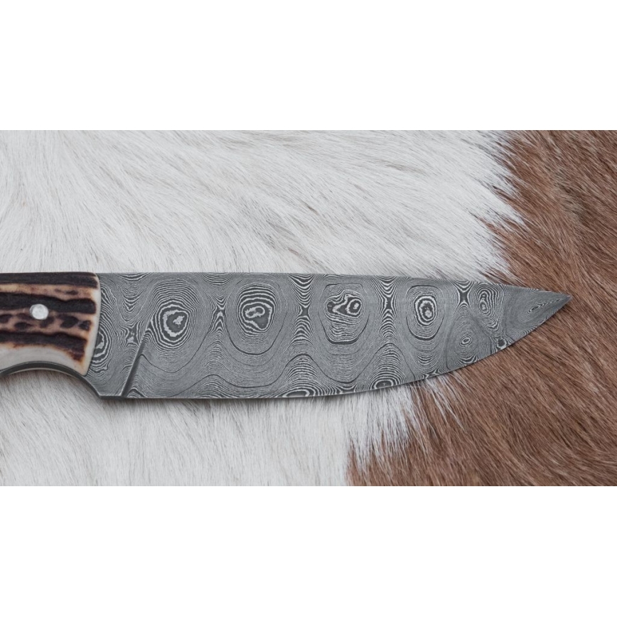 Jagtkniv med minisav Damaskus 11 cm hjortegevir