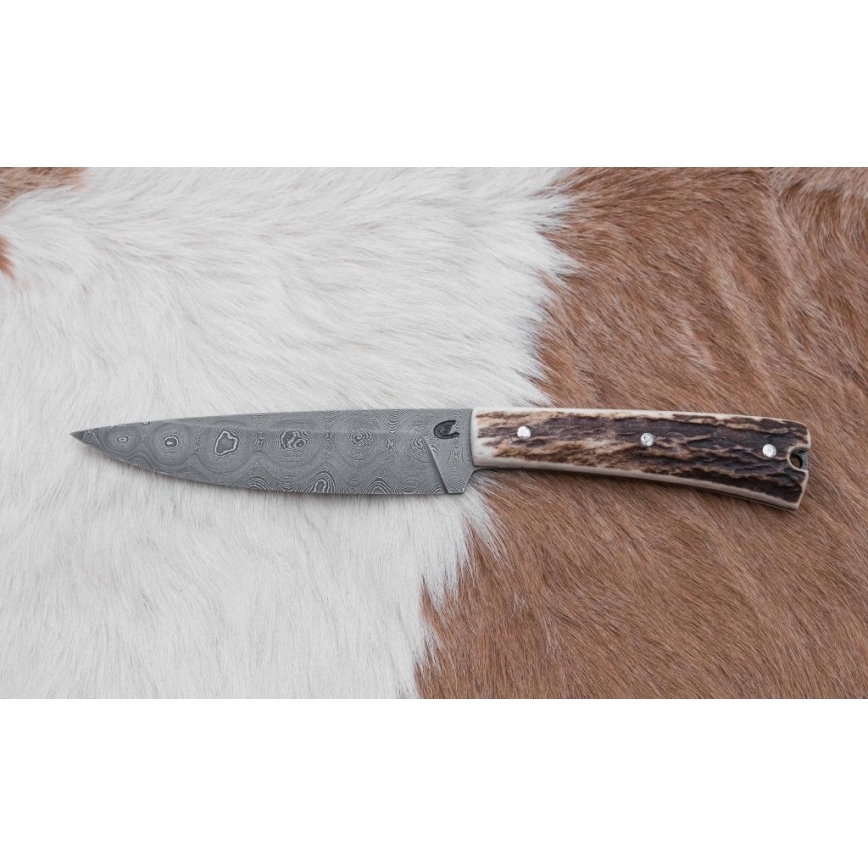 Jagtkniv med minisav Damaskus 12 cm hjortegevir