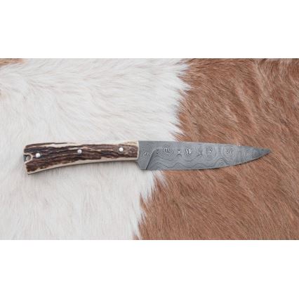 Jagtkniv med minisav Damaskus 12 cm hjortegevir