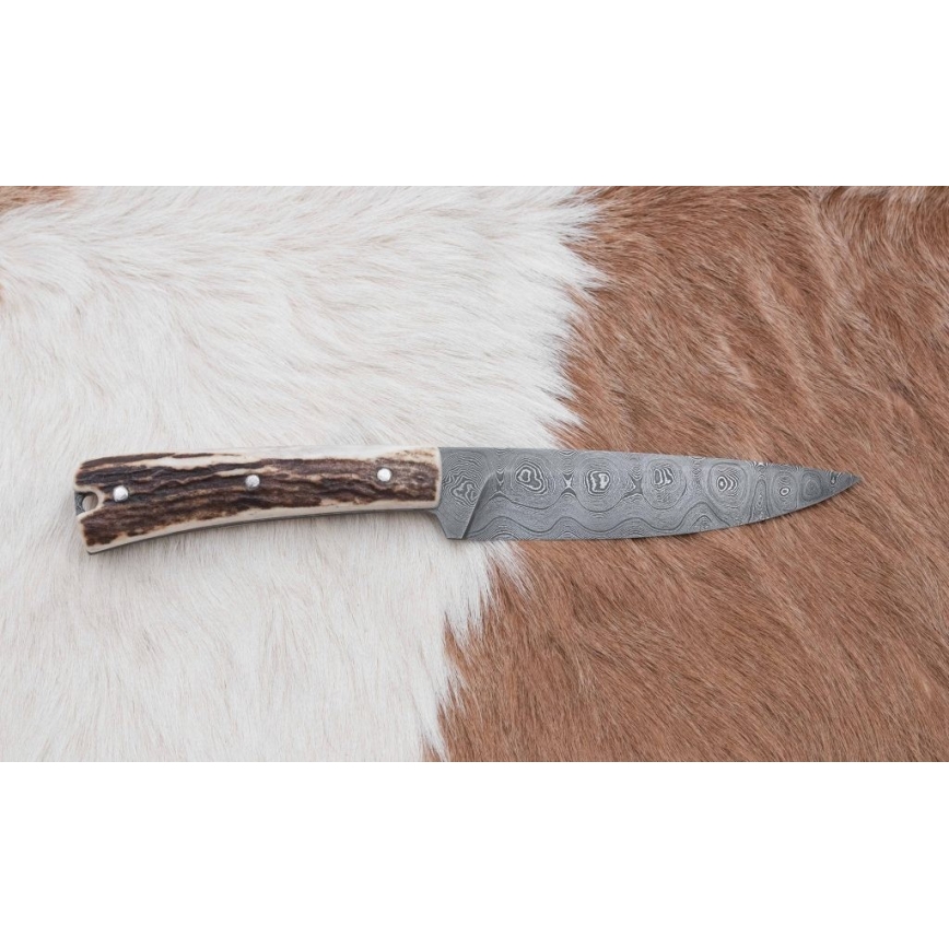 Jagtkniv med minisav Damaskus 12 cm hjortegevir