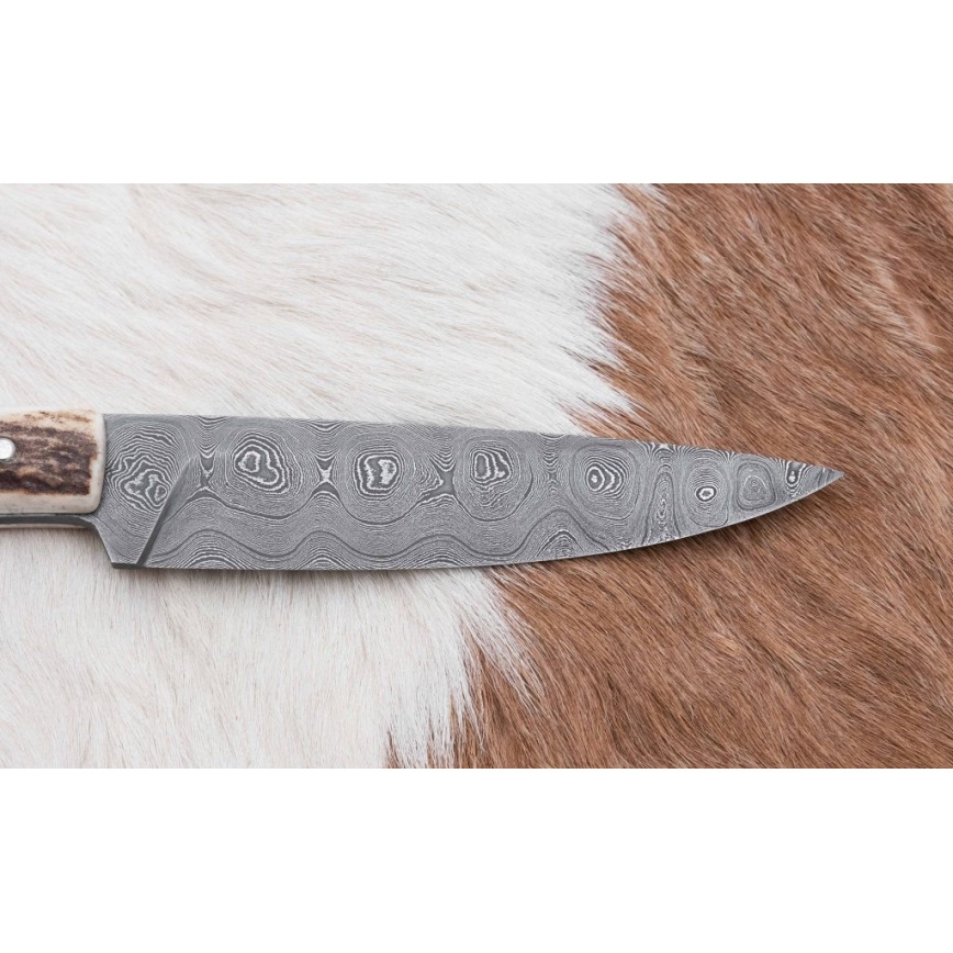 Jagtkniv med minisav Damaskus 12 cm hjortegevir