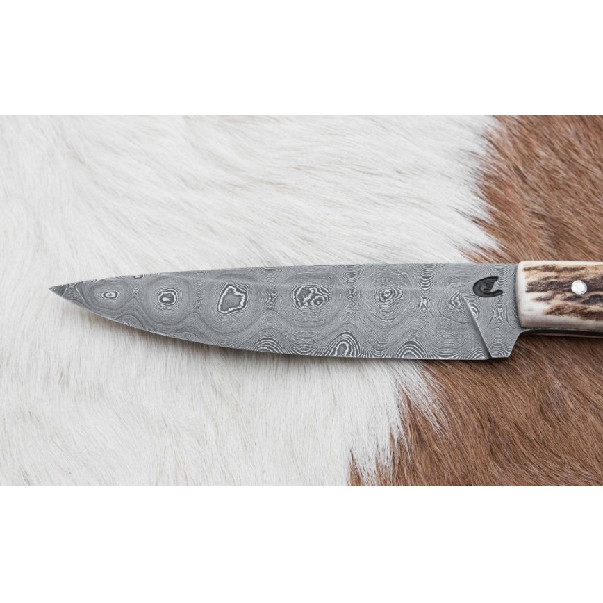 Jagtkniv med minisav Damaskus 12 cm hjortegevir