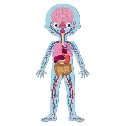 Janod - Lærerigt puslespil til børn 225 stk. menneskekrop