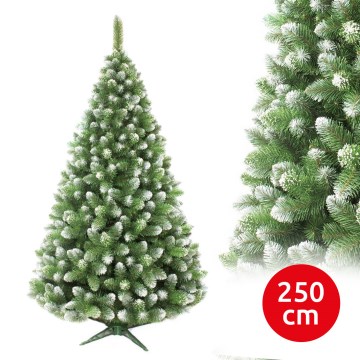 Juletræ 250 cm - fyrretræ