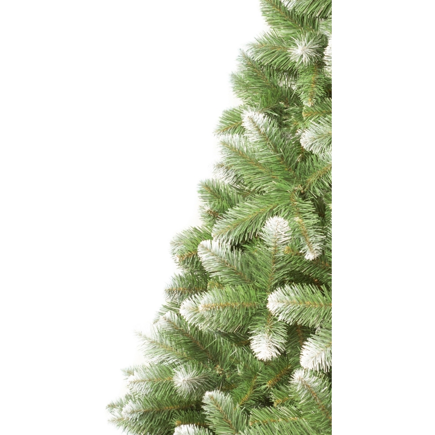 Juletræ 250 cm gran