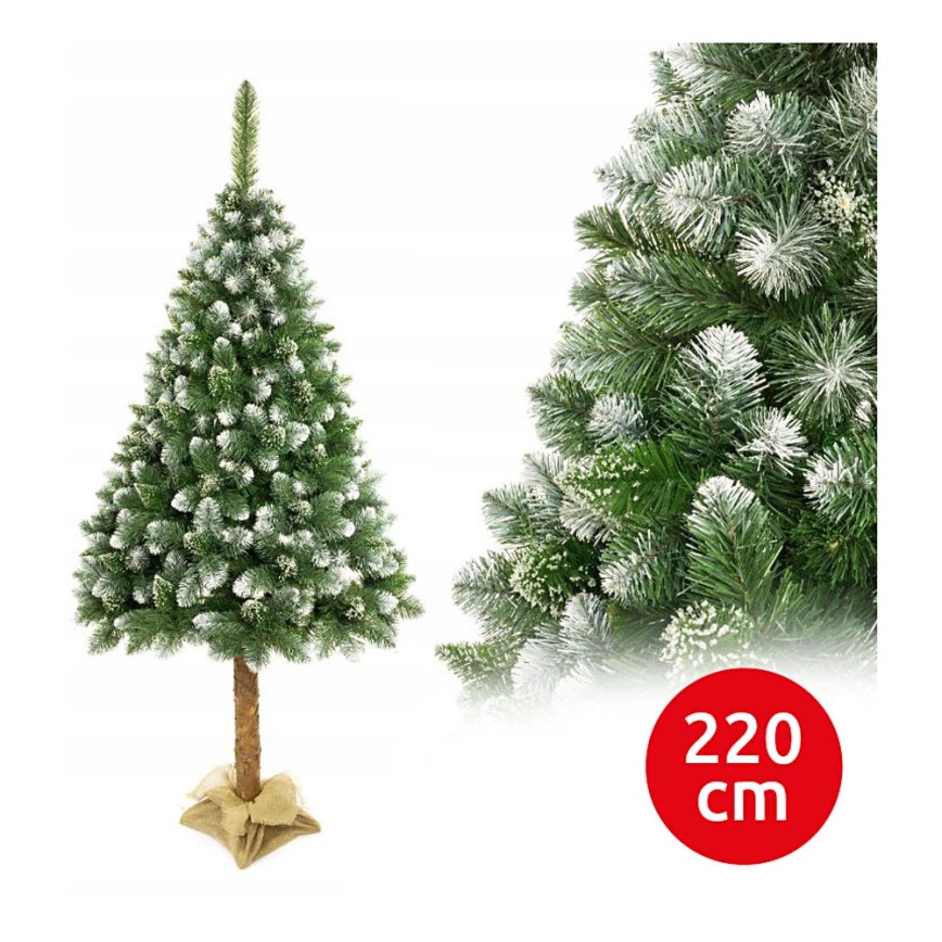 Juletræ med stamme 220 cm gran