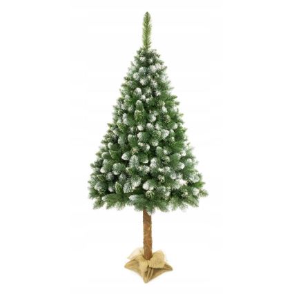 Juletræ med stamme 220 cm gran