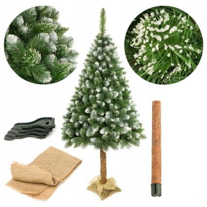 Juletræ med stamme 220 cm gran
