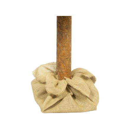 Juletræ på stamme 180 cm fyrretræ