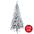 Juletræ SCOTLAND 210 cm ædelgran