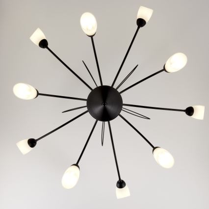 Jupiter 2056 - Loftlampe på stang GLORIOSA 10xG9/14W/230V sort