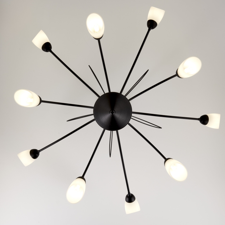 Jupiter 2056 - Loftlampe på stang GLORIOSA 10xG9/14W/230V sort