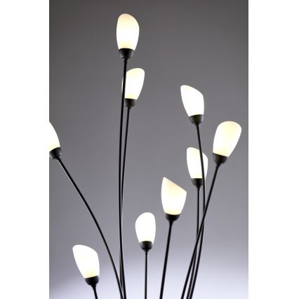 Jupiter 2058 - Gulvlampe GLORIOSA 9xG9/14W/230V sort