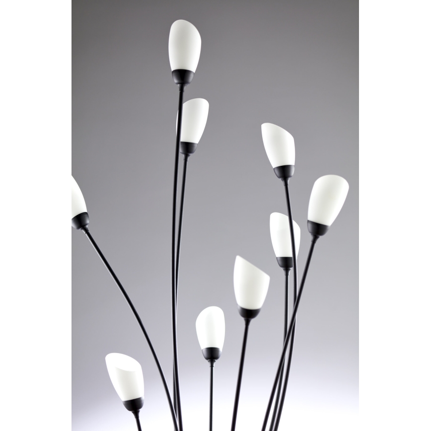 Jupiter 2058 - Gulvlampe GLORIOSA 9xG9/14W/230V sort