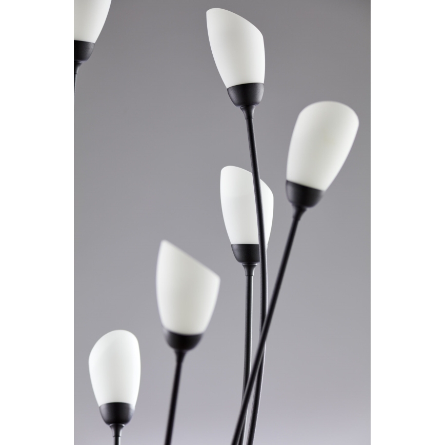 Jupiter 2058 - Gulvlampe GLORIOSA 9xG9/14W/230V sort