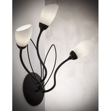 Jupiter 2059 - Væglampe GLORIOSA 3xG9/14W/230V sort