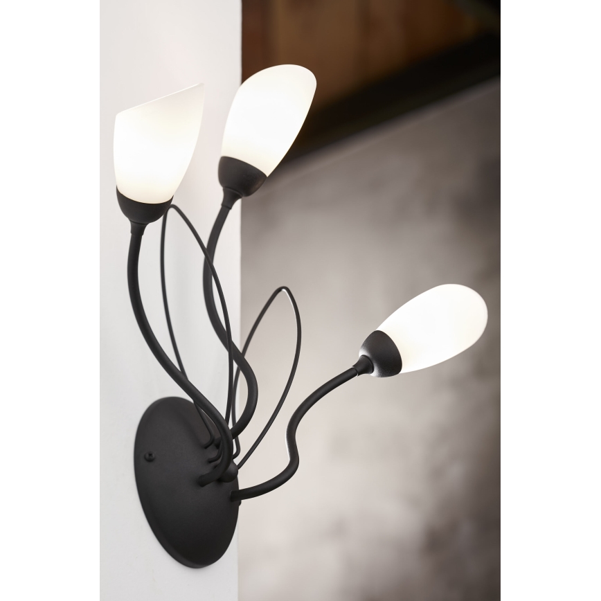 Jupiter 2059 - Væglampe GLORIOSA 3xG9/14W/230V sort