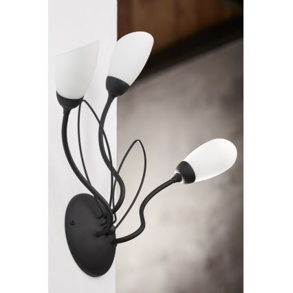 Jupiter 2059 - Væglampe GLORIOSA 3xG9/14W/230V sort