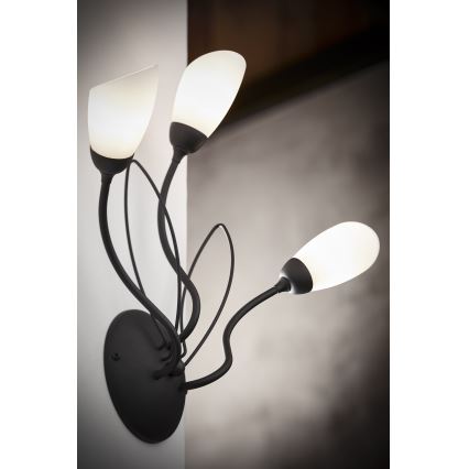 Jupiter 2059 - Væglampe GLORIOSA 3xG9/14W/230V sort