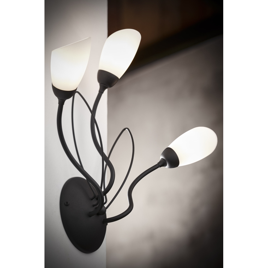 Jupiter 2059 - Væglampe GLORIOSA 3xG9/14W/230V sort