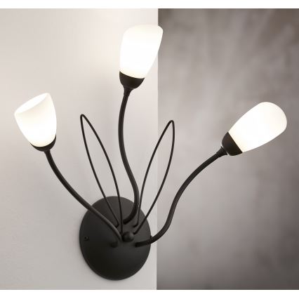 Jupiter 2059 - Væglampe GLORIOSA 3xG9/14W/230V sort