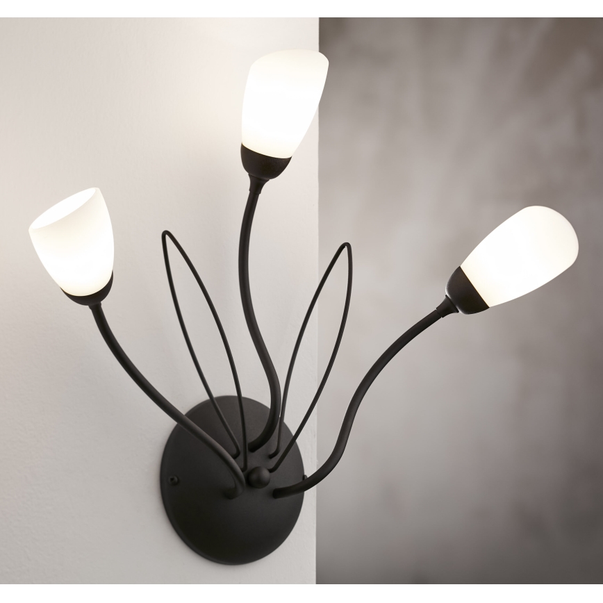 Jupiter 2059 - Væglampe GLORIOSA 3xG9/14W/230V sort