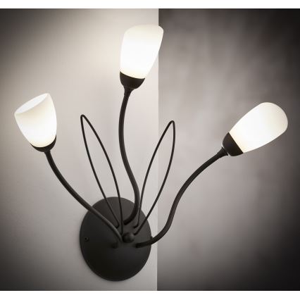 Jupiter 2059 - Væglampe GLORIOSA 3xG9/14W/230V sort