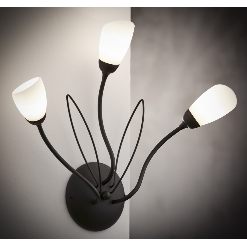 Jupiter 2059 - Væglampe GLORIOSA 3xG9/14W/230V sort