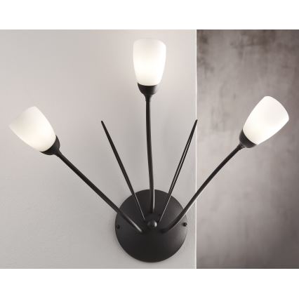 Jupiter 2059 - Væglampe GLORIOSA 3xG9/14W/230V sort