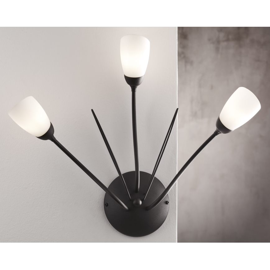 Jupiter 2059 - Væglampe GLORIOSA 3xG9/14W/230V sort