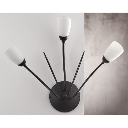 Jupiter 2059 - Væglampe GLORIOSA 3xG9/14W/230V sort