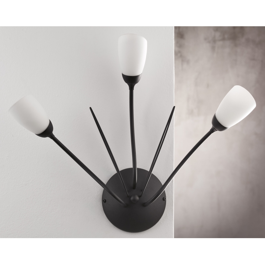 Jupiter 2059 - Væglampe GLORIOSA 3xG9/14W/230V sort