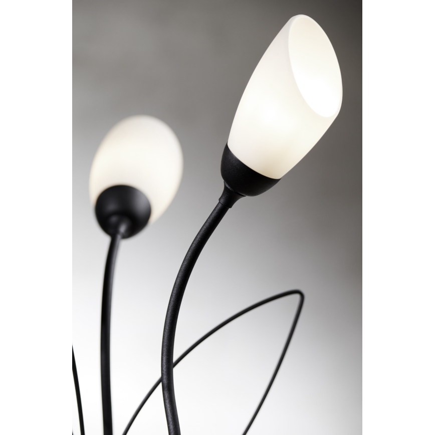 Jupiter 2065 - Bordlampe GLORIOSA 3xG9/14W/230V sort