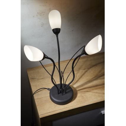 Jupiter 2065 - Bordlampe GLORIOSA 3xG9/14W/230V sort