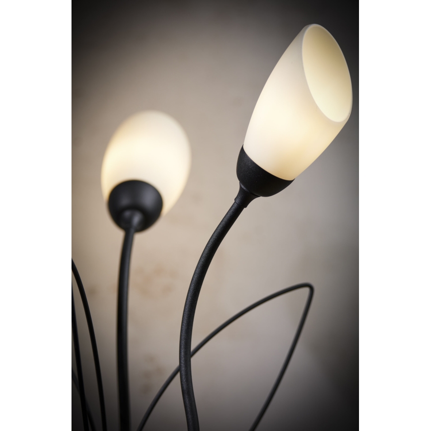 Jupiter 2065 - Bordlampe GLORIOSA 3xG9/14W/230V sort
