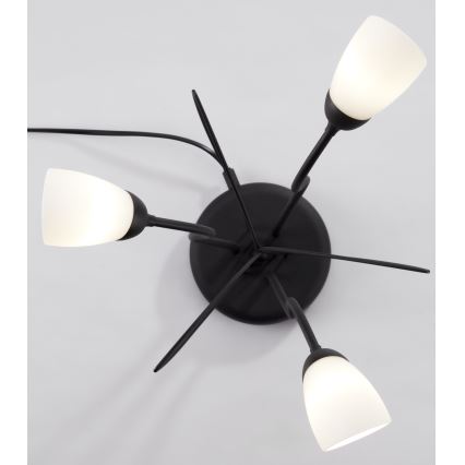 Jupiter 2065 - Bordlampe GLORIOSA 3xG9/14W/230V sort